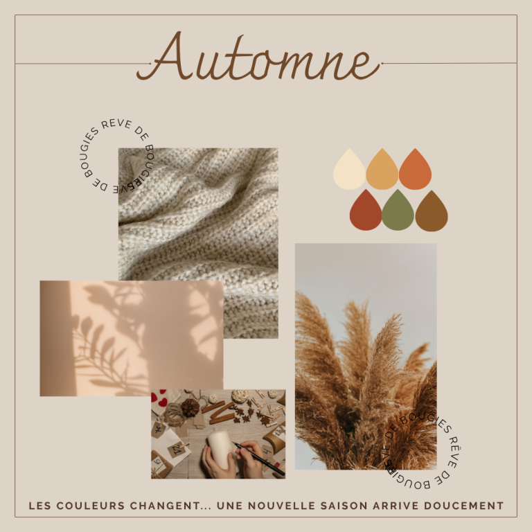 Ambiance d'automne Collage automnal aux tons naturels avec tricot beige, pampas séchées, ombres de feuilles et atelier de bougies